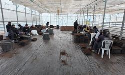 Şanlıurfa Büyükşehir’den Çiftçilere Dev Fide Projesi!