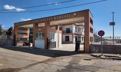 Şanlıurfa Canlı Hayvan Borsasında Modern Baskül Hizmete Girdi!