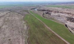 Şanlıurfa Ekipleri Bölge Yaban Hayatını Ceylanlarla Canlandırıyor!