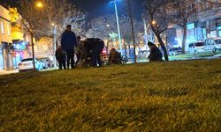 Şanlıurfa Eyyübiye Belediyesi’nden Gece Mesaisiyle Yeşil Dönüşüm!