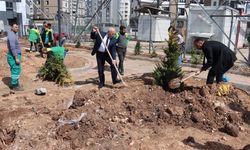 Şanlıurfa Karaköprü’de Yeni Parkta Ağaçlandırma Çalışması!