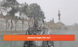Şanlıurfa Soğuk Olur mu?