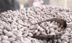 Şanlıurfa’dan Gelen Bademle Üretilen Tatlıya Rekor Satış!