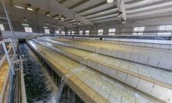 Şanlıuurfa'da Yağmur Sonrası Endişe Arttı: Urfa’da Sular Temiz mi?