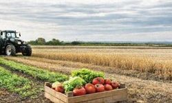 Şanlıurfa’da Üreticiler İçin Kritik Buluşma: "B-Reçete" Toplantısı Düzenleniyor