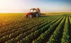 Tarımsal Girdi Fiyat Endeksi Çiftçiyi Nasıl Etkileyecek?