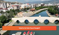 Tokat'ın En Fakir İlçesi Hangisi?