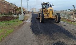 Viranşehir’de Kanar Küme Evleri yolunda asfalt onarımı yapıldı