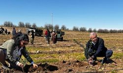 Şanlıurfa Tarımı İçin Stratejik Proje Hayata Geçti!
