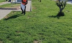 Eyyübiye’de Park ve Yeşil Alanlarda Bakım Çalışmaları Sürüyor