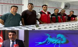 Şanlıurfalı firmadan estetikte dikkat çeken yenilik: Akrep zehrinden botoks kremi