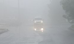 Şanlıurfa'da yoğun sis etkili oldu