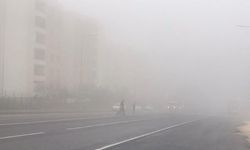 Şanlıurfa’da Sağanak Sonrası Sis Alarmı!