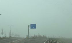 Şanlıurfa Yolunda Sis Alarmı Ulaşım Felç Oldu