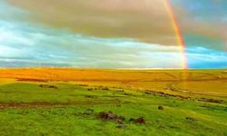 Siverek’te doğadan görsel şov: “Mest etti”