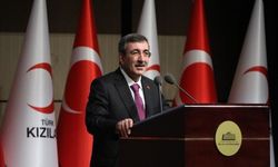 Cumhurbaşkanı Yardımcısı Yılmaz’dan denetim vurgusu!