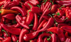 7 Liralık Biber, Markette 200 Lira: Bakanlık Harekete Geçti