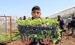 Şanlıurfa’da Çiftçilere 1 Milyon Fide Desteği!