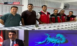 Şanlıurfalı firmadan estetikte dikkat çeken yenilik: Akrep zehrinden botoks kremi