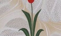 Şanlıurfa'da Geleneksel Ebru Sanatı Kursu Başvuruları Başladı