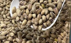Fıstık Üretimi ve İhracatı Artıyor