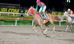 ŞUTB Kupası’nda Zafer Akolhan’ın Oldu