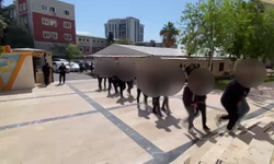 Şanlıurfa Emniyeti’nden nitelikli dolandırıcılık operasyonu