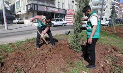 Şanlıurfa Haliliye’de “Daha Yeşil İlçe” İçin Seferberlik!