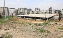 Şanlıurfa Karaköprü Belediyesi’nden İlçeye Estetik Dokunuş!