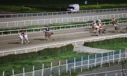 Şanlıurfa Kurtuluş Koşusu’nda “Anadolu Gücü” Zirveye Çıktı!
