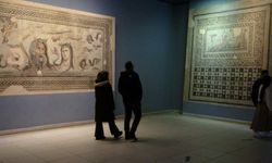 Şanlıurfa ve bölge illerden Zeugma mozaik müzesine yoğun ilgi