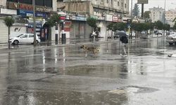 Şanlıurfa’da Kuvvetli Yağış Uyarısı: Sel ve Su Baskınına Dikkat