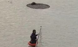 Şanlıurfa’da Sulama Havuzuna Düşen Tilki Kurtarıldı