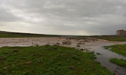 Siverek’te Dere Taştı: Çoban ve 60 Küçükbaş Son Anda Kurtarıldı