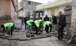 Viranşehir Gölbaşı Mahallesi’nde Yol Konforu İçin Çalışma Başlatıldı!