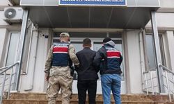 Şanlıurfa Harran’da Dolandırıcılık Hükümlüsü Yakalandı