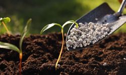 Gübrede Gümrük Vergisi Sıfırlandı!