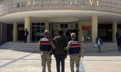 Şanlıurfa’da Aranan Şahıs Jandarma Tarafından Yakalandı