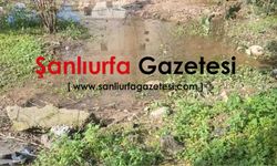 Birecik’te Vatandaşlar balçık nedeniyle Mezarlıklar İçin Seferber Oldu