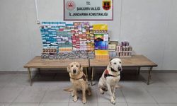 Şanlıurfa’da kaçakçılara geçiş yok: 27 gözaltı!