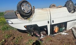 Şanlıurfa'da trafik kazası 8 yaralı