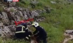 Şanlıurfa’da Uçurumda Mahsur Kalan 2 Keçi 1 Saatlik Çalışmayla Kurtarıldı