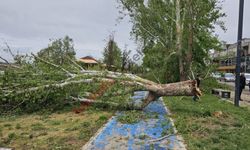 Fırtına Birecik’i Vurdu: 1 Ölü, 29 Yaralı, Büyük Hasar