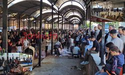 Şanlıurfa’da Kurban Kesim Alanlarında Yoğunluk Yaşandı