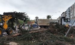 Şanlıurfa'nın o ilçelerinde 4 gün okullar tatil edildi.