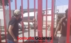 Akçakale Gümrük Kapısı’nda adli sicil gerekçesiyle içeri alınmayan vatandaş kendini zincirledi
