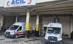 Siverek’teki yılan avı mağdurlarının kimlikleri belli oldu; Aynı aileden 5 yaralı!