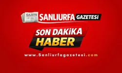 Şanlıurfa'da İki Otomobil Çarpıştı: 7 Yaralı