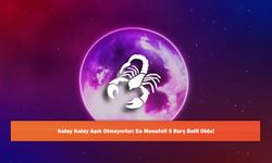 Kolay Kolay Aşık Olmuyorlar: En Mesafeli 5 Burç Belli Oldu!
