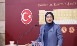 AK parti Şanlıurfa Milletvekili Yazmacı 19 Mayıs mesajı yayınladı